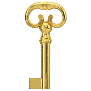 Furniture key petite model 014 polished brass